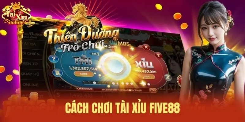 C&aacute;ch chơi T&agrave;i xỉu Five88